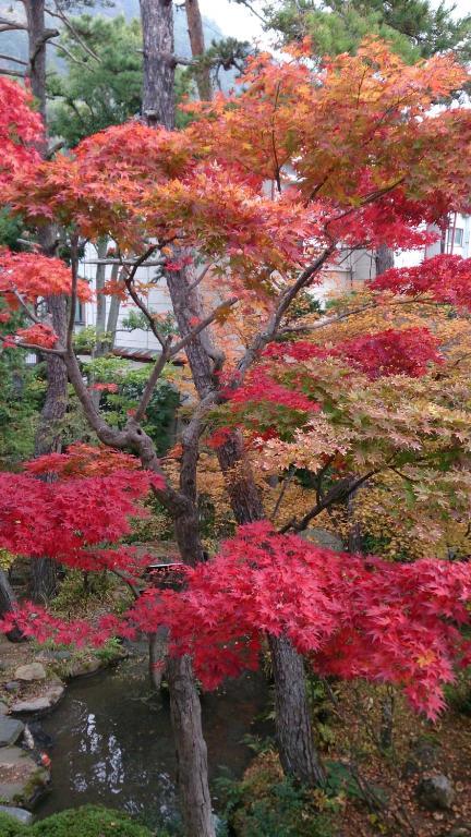 Отель Yudanaka Yumoto Яманути Экстерьер фото